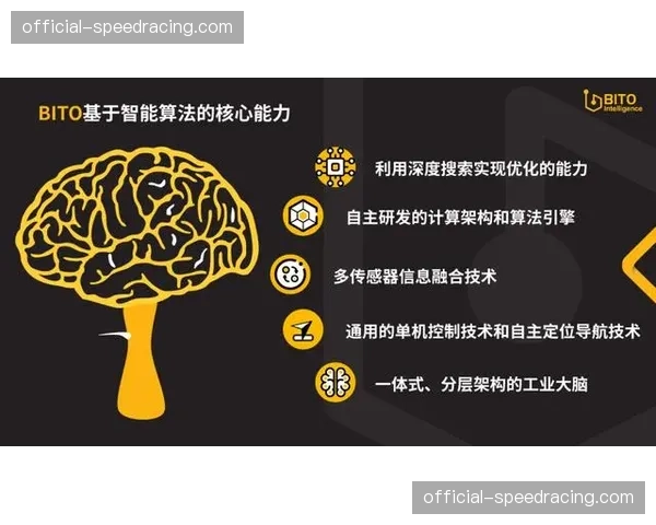 本周期柔性调度机制落地 体育活动管理更具弹性